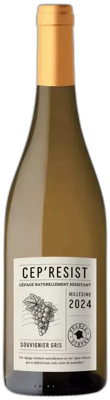 vue du vin Cep’Resist Souvignier