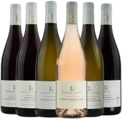 capture du vin Découverte