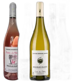 photo du vin Découverte Jomain