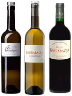 photo du vin Fronsac Château Barrabaque