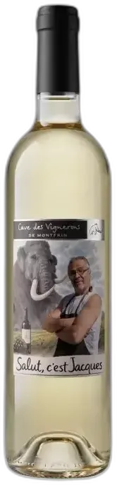 vue du vin Vignerons de Tavel "Fontaine" Vin de France Blanc