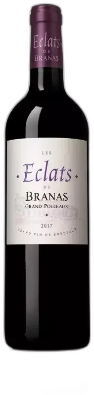 illustration du vin Château Branas Grand Poujeaux