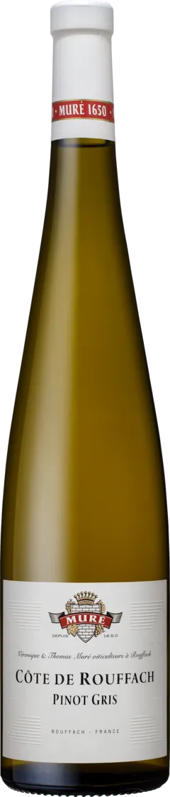 vue du vin Alsace Rosenberg Pinot