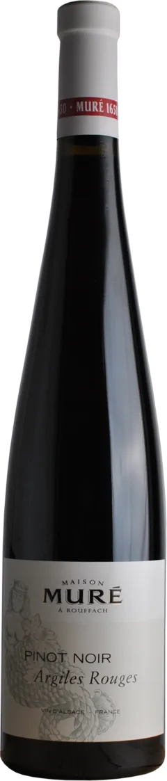 vue du vin Alsace Coteaux Calcaires Pinot Noir