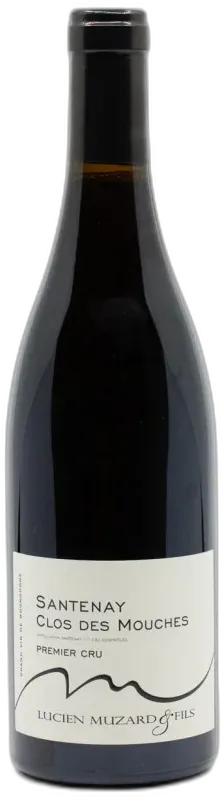 vue du vin Clos des Mouches