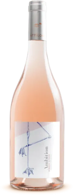 photo du vin Ambition Domaine Attilon