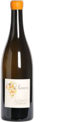 vue du vin Domaine Dudognon au Bout du Chenin Chinon