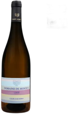 vue du vin Domaine de Montcy Lucé Cour Cheverny