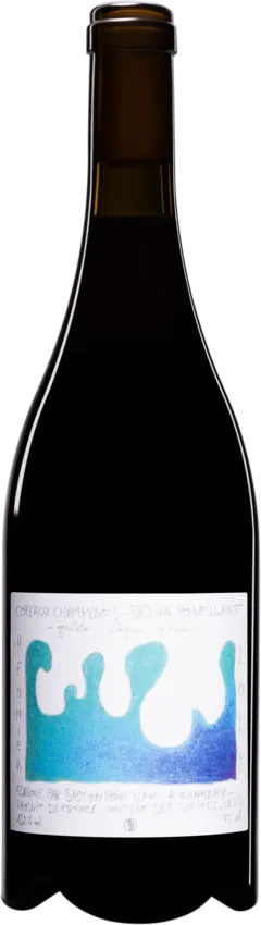 vue du vin Chardonnay Bastien Pointillart