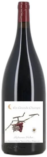 image du vin en Grands Champs