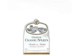 vue du vin Chasse Spleen 2011