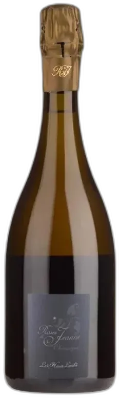vue du vin Roses de Jeanne la Haute Lemble de Brut 2021 Cedric Bouchard