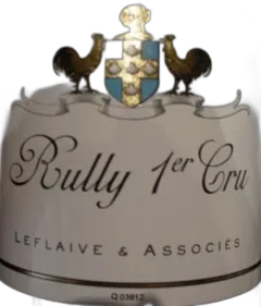 vue du vin Rully 1er Cru