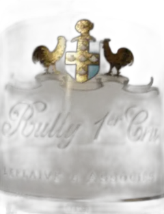 vue du vin Rully 1er Cru