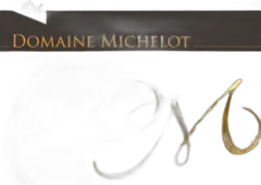 vue du vin Meursault 1er Cru Genevrieres 2021 Domaine Michelot