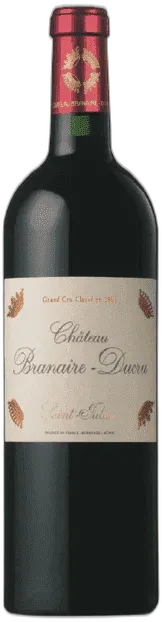 vue du vin Château Branaire Ducru 2010