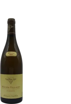 vue du vin Mâcon-Villages
