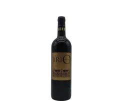 vue du vin Brio de Cantenac Brown
