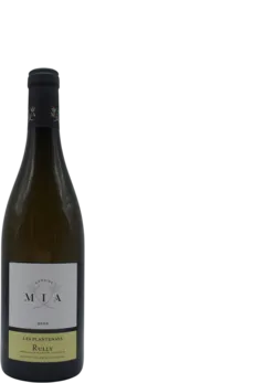 illustration du vin Les Plantenays