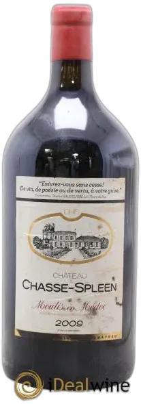 photo du vin Château Chasse Spleen