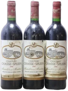 photo du vin Château Chasse Spleen