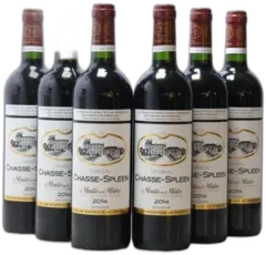 photo du vin Château Chasse Spleen