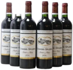 photo du vin Château Chasse Spleen
