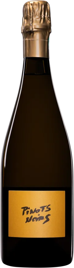 aperçu du vin Extra-Brut 1er Cru Blanc de Noirs Millésimé "les Hauts Bourgeois" Dégorgement 12 2023