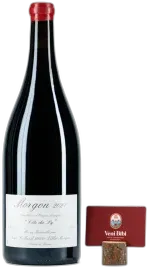 photo Morgon, Domaine Jean Foillard, Côte du py, Magnum 2021