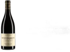 photo du vin 1er Cru "les Fontenys" 2017 Domaine René Bouvier