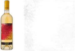 photos du vin Bibi Graetz Colore Bianco
