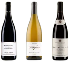 capture du vin Bourgogne