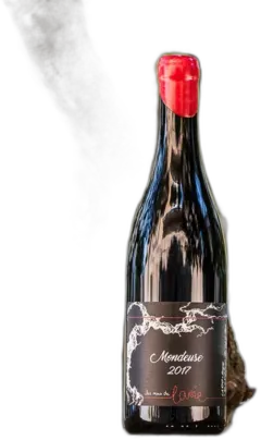 photo du vin Mondeuse Élisa Domaine Anne-Sophie et jf Quénard
