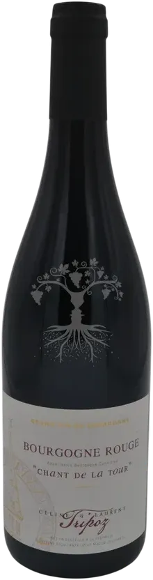 illustration du vin Bourgogne Pinot Noir