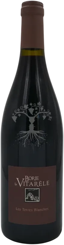 capture du vin Les Terres Blanches