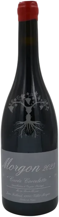 illustration du vin Morgon Côte du py Jean Foillard