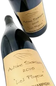 image du vin Domaine Antoine Sanzay "les Poyeux" Saumur Champigny Rouge Saumur-Champigny Bio