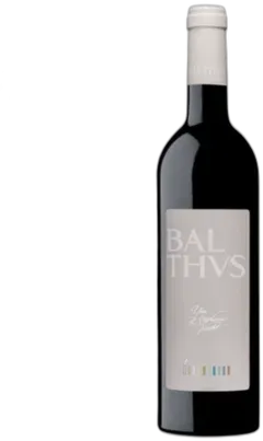 vue du vin Balthus de Reignac