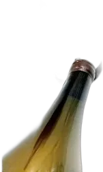 photo du vin Domaine Aux Moines Savennières Roche Aux Moines Magnum