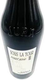 aperçu du vin Poulsard en Amphore Sans Soufre