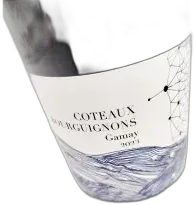 photos du vin Didon Côteaux Bourguignons le p’Tit Quinquin Gamay