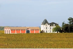 photo Château l'Evangile Pomerol 2019