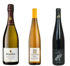 vue du vin Alsace Coteaux Calcaires Pinot Noir