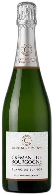 vue du vin Bourgogne en Victorine de Chastenay