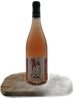 vue du vin Chat’au Bonnet