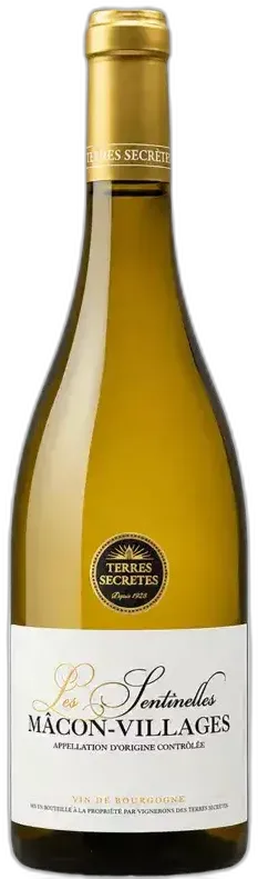 image du vin Terres Secrètes