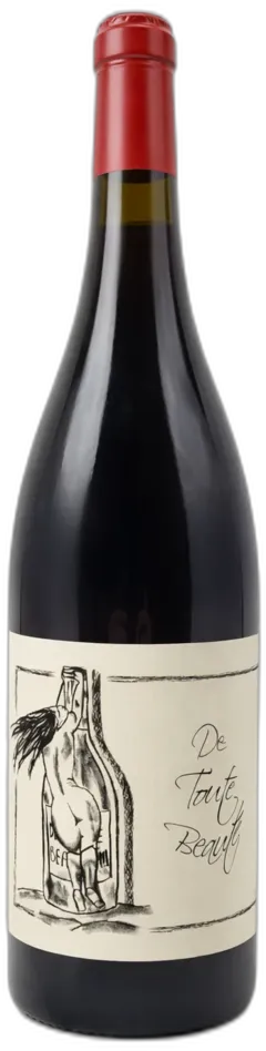 vue du vin Gamay de Toute Beaute