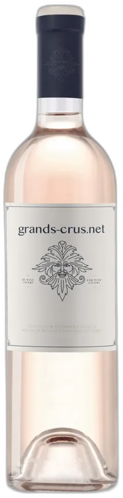 image du vin Domaine Guigal "ex-Voto" Hermitage Blanc