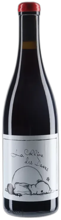 vue du vin Gamay de Toute Beaute
