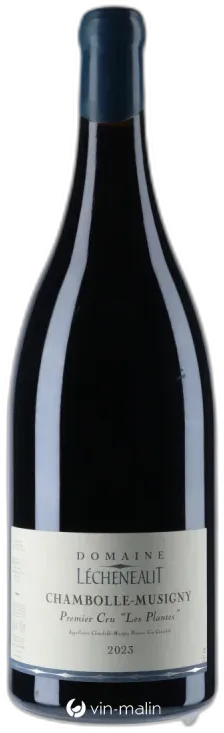 vue du vin Domaine Lécheneaut Chambolle-Musigny "Aux Beaux Bruns"